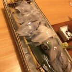 博多 表邸 - イカの活き造り
