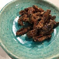 CINA New Modern Chinese - 