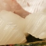 道人 - ⑥甲烏賊(瀬戸内海産)
      産卵期は春～初夏、旬は冬～春、寿命1年
      軟らかくて軽めのネットリ感があり、程好い甘みが味わえます。