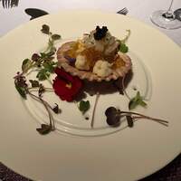 International cuisine subzero - 