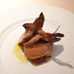 フォリオリーナ・デッラ・ポルタ・フォルトゥーナ - 