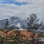 Fogliolina della Porta Fortuna