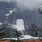 Fogliolina della Porta Fortuna