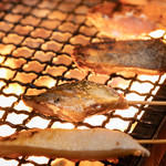 炙り処 火ノ膳 名古屋栄店