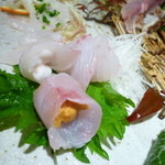 博多 一梅 - カングロ（メジナ）、ヒラメ（白子巻）、甘鯛（雲丹巻）