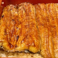 赤坂ふきぬき - 