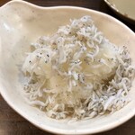 鐘鳥 - 