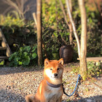 懐水集 - 人なつっこいわんちゃんもいました。