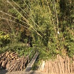 懐水集 - お店は山の奥。