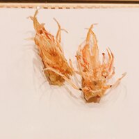 天婦羅 みやしろ - 海老の頭