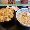 天霧さぬきうどん - 料理写真: