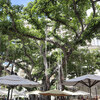 The veranda at The Beachhouse