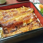 Unagi Fukushima - 並うな重