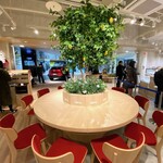 ドトールコーヒーショップ - 
