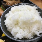 がんちゃん - ご飯