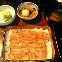 五代目 野田岩 麻布飯倉本店 - うな重　梅