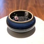 ル スプートニク - 