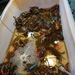 Mum Aroi - 小振りの海老・蟹