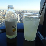 Paradise Lounge - キミノユズ　