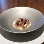 ル スプートニク - 