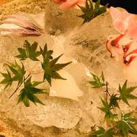 銀平 北新地店 - 