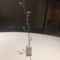 カセント - 