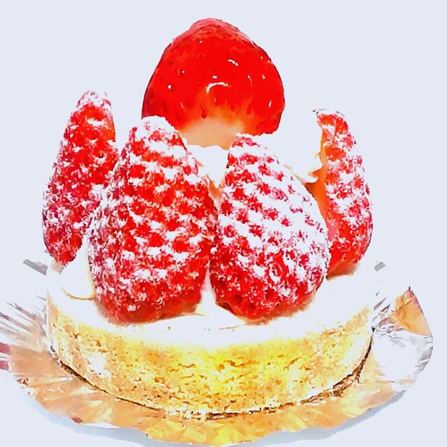 カフェパティスリーミィタン 阿波座 ケーキ 食べログ カフェパティスリーミィタン 阿波座 ケーキ 食べログ