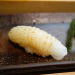 すし匠 - アオリイカ