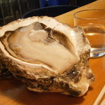 うなぎ屋酒坊・画荘 越後屋 - 24年3月　デカイ岩牡蠣　隠岐