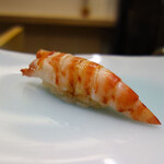 鮨 なんば - 車エビ(38℃/38℃)