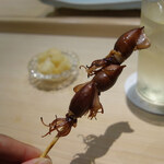 鮨 なんば - 富山蛍烏賊