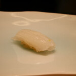 鮨 なんば - 6日のアオリイカ