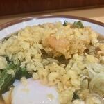 そばの神田 東一屋 - 揚げ玉ブチまけろ！  #BCMKR!