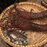 花海鮮 とと 中之郷 魚介料理 海鮮料理 食べログ 花海鮮 とと 中之郷 魚介料理 海鮮料理 食べログ