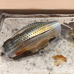 寿司 中川 - 小鰭は優しい締め具合　温かいシャリにぴったりでした