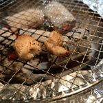 ホルモン焼肉 ちばず七輪 - 歯は丈夫ですかと聞かれながら提供を受けた「ウルテ」。表面はマジックテープの接着面のよう。食感は「ドンパッチ」を口に入れた時のよう。