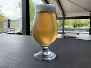Mt. Fuji Brewing - 琥珀富士（こはくふじ）White Ale