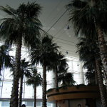 カフェトスカ - 広々として高い天井