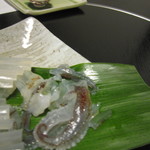 大塚高勢 - 墨烏賊（2012/3）