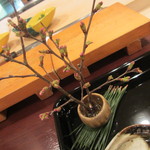 北新地 弧柳 - 櫻の木