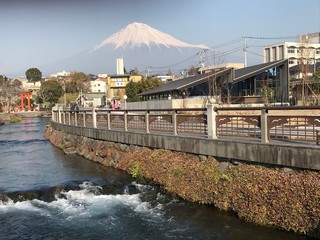 Mt. Fuji Brewing - 浅間大社の東側に面したブルワリー×レストラン