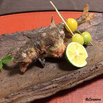 御料理 寺沢 - 天竜川 子持ち鮎､藤九郎銀杏松葉串