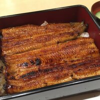 うなぎ割烹 白金台 まつ本 - 