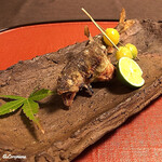 御料理 寺沢 - 天竜川 子持ち鮎､藤九郎銀杏松葉串