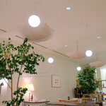 Moliere Cafe　降っても晴れても - 