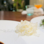 Moliere Cafe　降っても晴れても - 