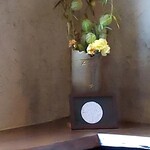 そば屋 案山棒 - 今日の花