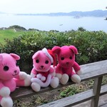 別邸 蒼空 - モモちゃん達