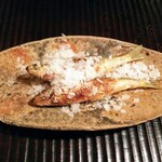 京天神 野口 - ●ホンモロコ、琵琶湖