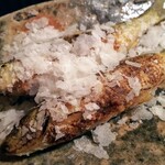 京天神 野口 - ●ホンモロコ、琵琶湖